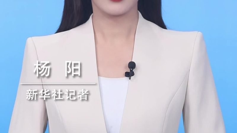 开源机器学习平台工具：揭秘其背后的差异与选择要点